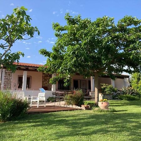 Countryside Villa In Sardinia Triei Екстер'єр фото