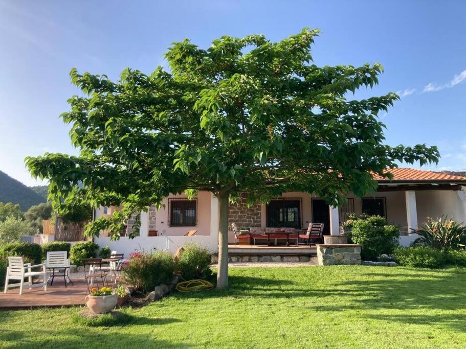 Countryside Villa In Sardinia Triei Екстер'єр фото