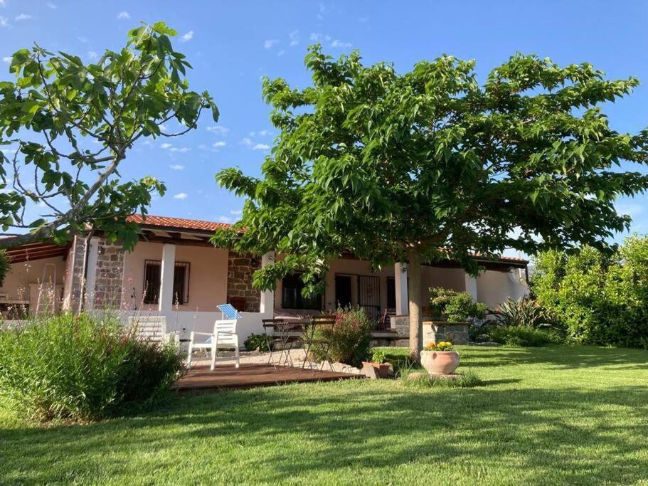 Countryside Villa In Sardinia Triei Екстер'єр фото